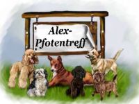 Alex-Pfotentreff