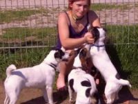 Doggy's Style - Service für alle Felle!