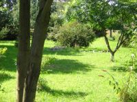 Ferien/Urlaub in Sommerfeld II - Hunde willkommen!