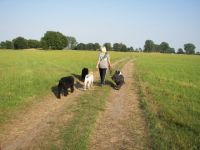 Tierhotel & Hundeschule - Kathrin Lemke