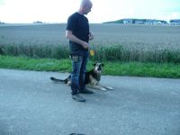 Stressfrei-Hund & Mensch