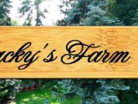 Jackys Farm Hundepension