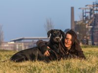 RudelBildung - mobiles Hundetraining in Dortmund