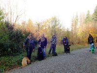 Hundeführerschein BLTK Sachkunde Hund