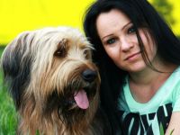 Mensch und Hund im Fokus