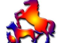 Tierheilpraxis Astrid Jaschinski klassische Homöopathie Tierkommunikation / Tierpsychologie