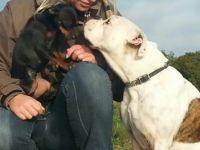 Hundeschule Dog-Matik