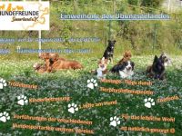 Hundefreunde Sauerland e. V.