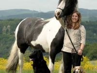 Tierheilpraxis Stefanie Kugler