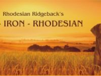 Of-Iron-Rhodesian