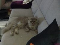 Vom Leuteroder Malberg