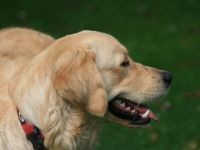 Giaccomo v. Rheydter Schloss Schatten