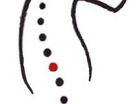 Osteopathische Tierheilpraxis Augsburg