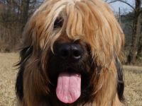 Les Filous avec Esprit