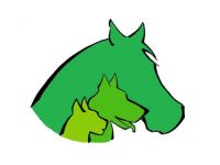 PET-Therapie Physiotherapie und Ernährungsberatung für Tiere