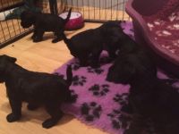 von den black Diamond