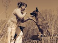Fitness For Animals- Therapeutische Hundeschule