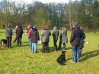 Hundeausbildung beim HST in Osnabrück