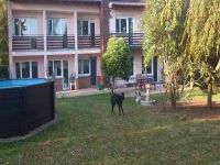 Hundepension Gebauer