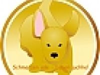 Tierphysio Oberrhein