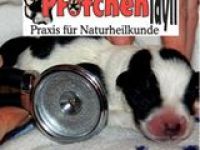 Tierbetreuung Tierheilpraxis Pfötchen Idyll