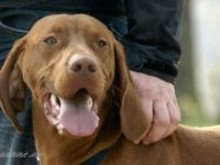 BEKES "LANDO" vom Großensee