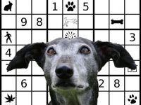 Mentales Training für den " Best Ager"