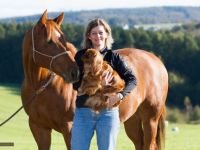mobile Tierheilpraxis für Hunde, Pferde,Katzen