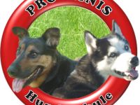 Hundeschule Pro Canis