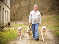 Chiemgauer Hundeschule - Wir machen Hausbesuche!