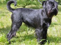 von der Märchenmühle