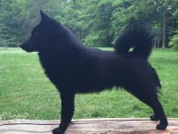 vom Brunhildisfelsen