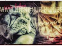 Graupelz & Co mobile Tierpflege und Hundeschule