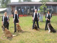 DVG HST Hundesport-Team-Osnabrück