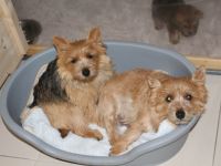 von der Kaiserhütte