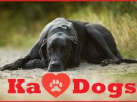 Ka-Dogs