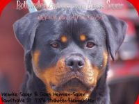 Kid von der Mühlbachstrasse