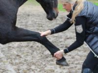 Naturheilpraxis Ellen Hilgers