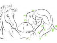 Mehr Zeit für Mensch und Tier - Katja Schindhelm