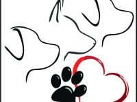 Hundetraining & Dogwalken in der Dübener Heide