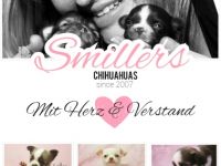 Smillers