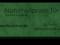 Naturheilpraxis für Tiere, Tierheilpraktikerin & Tierpsychologin Helena Lachner