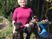 Tierphysiotherapie für Hund und Pferd, Tanja Czichotzki