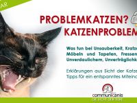 Katzenprobleme ► Ursachen | Erklärungen aus tierischer Sicht | Lösungen 27.11.24