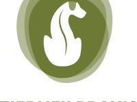 Nadine Kosian, Tierheilpraktikerin & Osteopathin für Kleintiere