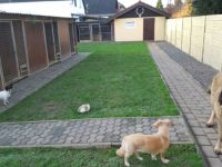 Hundezentrum Haus KaStMa