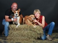 Chanis Hundepension