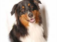 Tecumas Heartbreaker DNA-VP