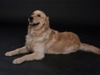 Giaccomo v. Rheydter Schloss Schatten