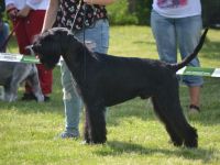 Zaver vom Hatzbachtal